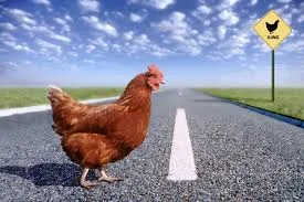 why did the chicken cross the road